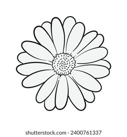 Ilustración del contorno de flores de margarita. Adecuado para diseños de camisetas, chaquetas, caramelos, sudaderas, pegatinas, etc.