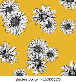 Daisy Flower Pattern