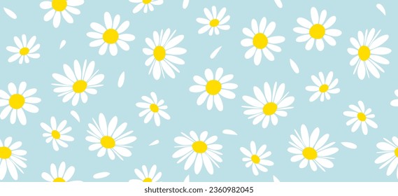 Patrón de flores de margarita. Hermoso fondo de flores blancas. floral floral daisy. Vector de diseño de flor blanca de primavera. Daisy está en un fondo azul claro. Diseño de vectores para tela, papel de envolvimiento, tarjeta de impresión.