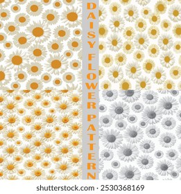Diseño de patrón de flor de margarita Combinación de color amarillo y blanco