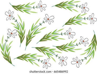 daisy flower patterns