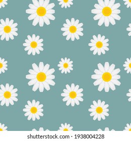 daisy flower seamless background, vector illustration