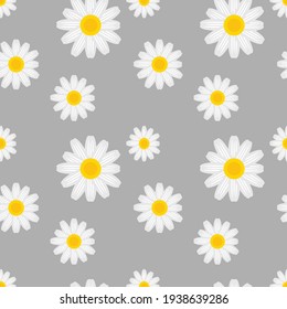 Daisy Flower Seamless Background, Vector Illustration