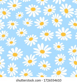 Daisy flower seamless on blue background illustration. Pretty floral pattern for print. Flat design vector.