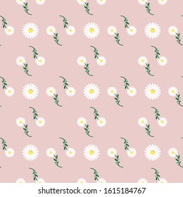 Daisy Flower Seamless Pattern. Floral Vector Ilustration