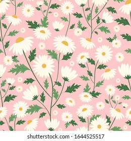 Daisy flower seamless pattern with pink background
