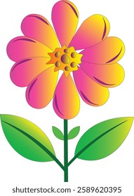 Daisy flower spring seasonal winter season summer spring art illustration