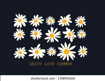 daisy flower spring summer vector