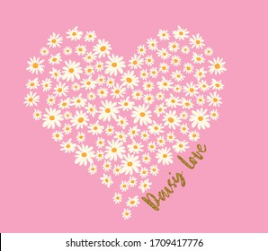 daisy flower spring summer vector