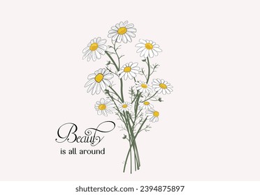 daisy flower vctor hand drawn design