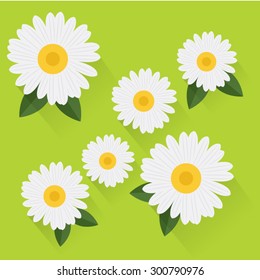 Daisy flower vector