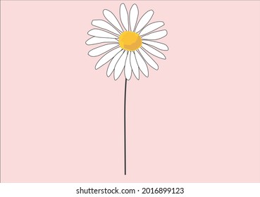 daisy flower vector art design 