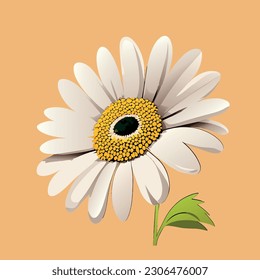 Daisy flower vector art. Eps 10