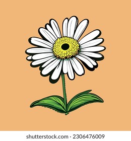 Daisy flower vector art. Eps 10