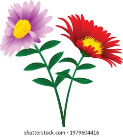 Daisy Flower vector art and illustration
