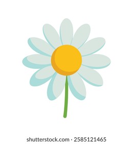 Daisy flower vector art on white background