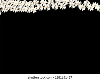 daisy flower vector for banner, presentation and wallpaper purposes on black background 11