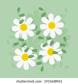 Vector de flores de margarita de estilo plano