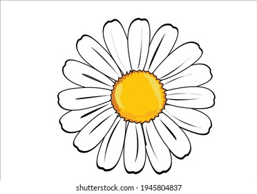 flor margarita vectorial dibujada a mano