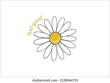 daisy flower vector hand drawn design 