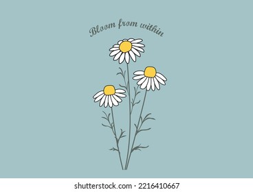 daisy flower vector hand drawn design