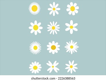 daisy flower vector hand drawn