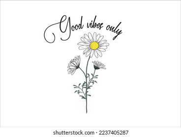 daisy flower vector hand drawn