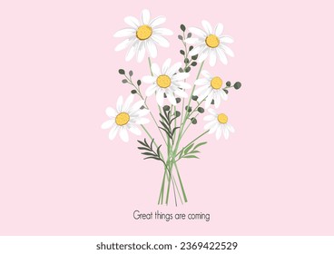 daisy flower vector hand drawn