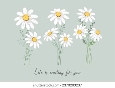 daisy flower vector hand drawn esign