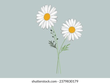 daisy flower vector hand drawn design 