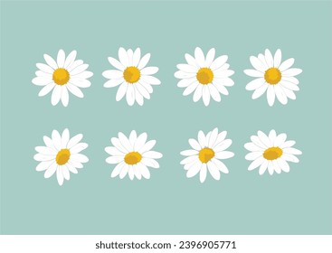 daisy flower vector hand drawn design vector
