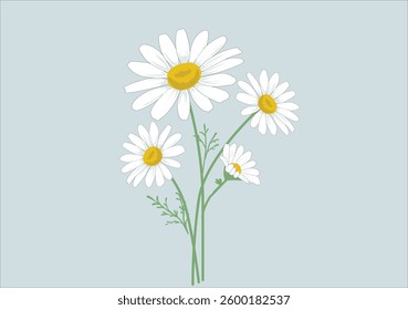 daisy flower vector hand drawn design