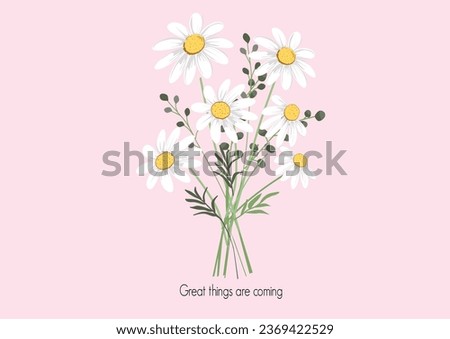 daisy flower vector hand drawn