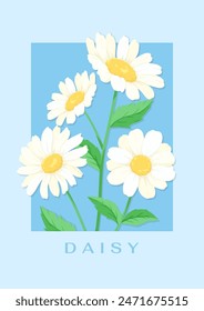 Daisy flower vector illustration Card design White flowers