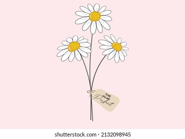 daisy flower vector illustration design