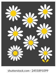 Daisy flower vector illustration for design