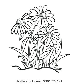 Daisy Flower vector illustration. Simple design outline style. You can change color you want. 