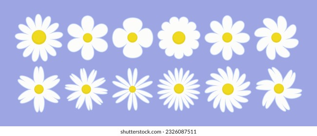Daisy flower vector illustration. White chamomile cartoon retro design. Cute set on violet background