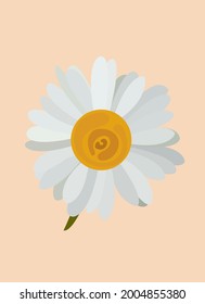Daisy flower vector pattern illustration floral background.Eps 10 vector.