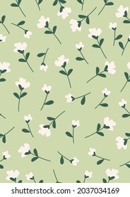 Daisy flower vector pattern illustration floral background.Eps 10 vector.