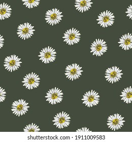 Daisy flower vector seamless pattern