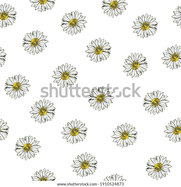 Daisy Flower Vector Seamless Pattern Stock Vector (Royalty Free ...