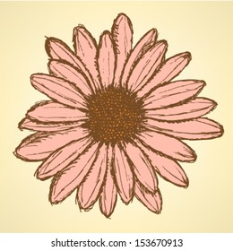 Daisy Hand Draw Images Stock Photos Vectors Shutterstock