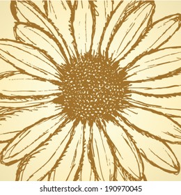 Daisy flower, vector sketch background eps 10 