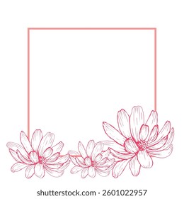 daisy flower vector square frame pink color graphics doodle hand drawn illustration on white background base for wedding design postcards textile tableware and printing
