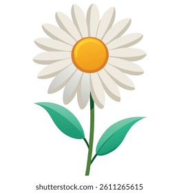 A daisy flower vector in white back ground