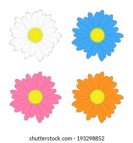 Daisy flower: white, blue, pink and red color