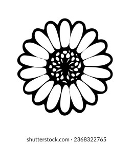 Daisy Blume, schwarzes Farbdesign