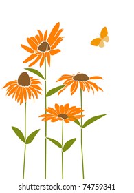 daisy flowers