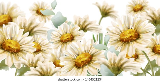 Daisy flowers background Vector watercolor. Summer decor floral bouquets poster banner